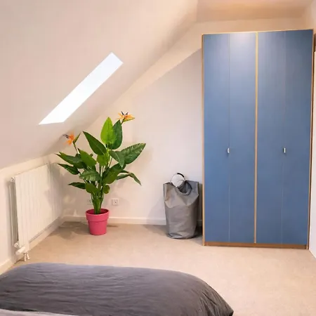Gemütliche 3 Zimmerwohnung Mit 2 Einzelbetten, Doppelbett Für Monteure Geeignet Apartment Hohenmölsen