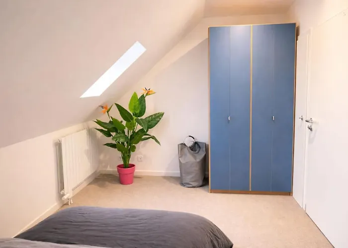 Moderne 3-zimmer-wohnung Fuer Bis Zu 5 Personen, Wlan, Kueche - Ideal Fuer Monteure & Gruppen Apartament Hohenmölsen